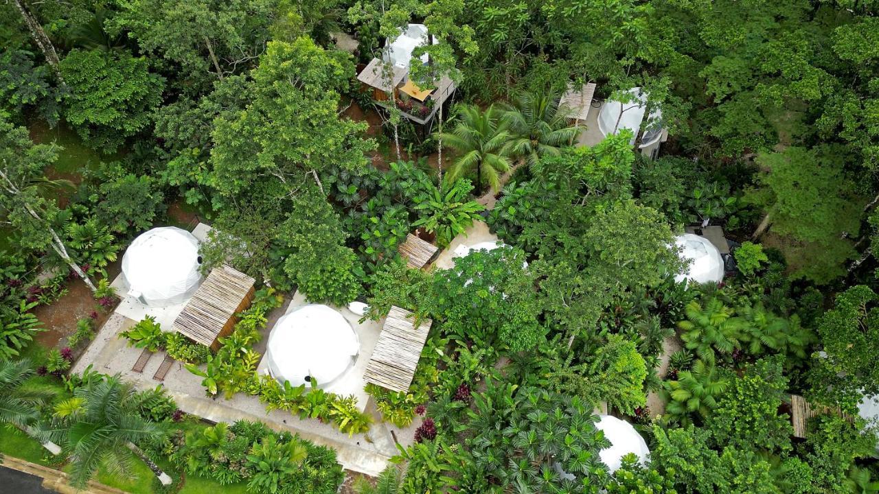 Palo Alto Glamping Hotel Quesada  Bagian luar foto