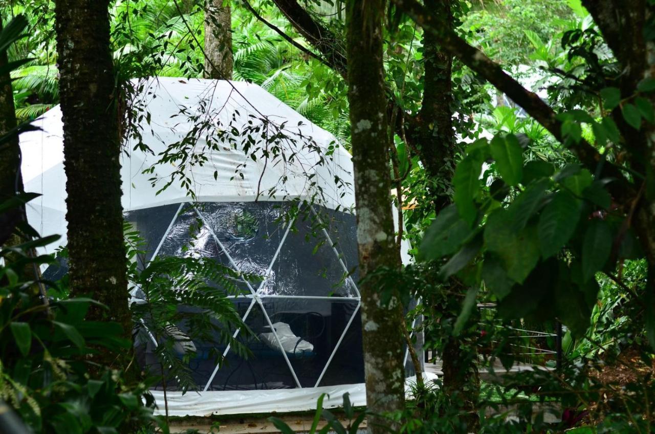 Palo Alto Glamping Hotel Quesada  Bagian luar foto