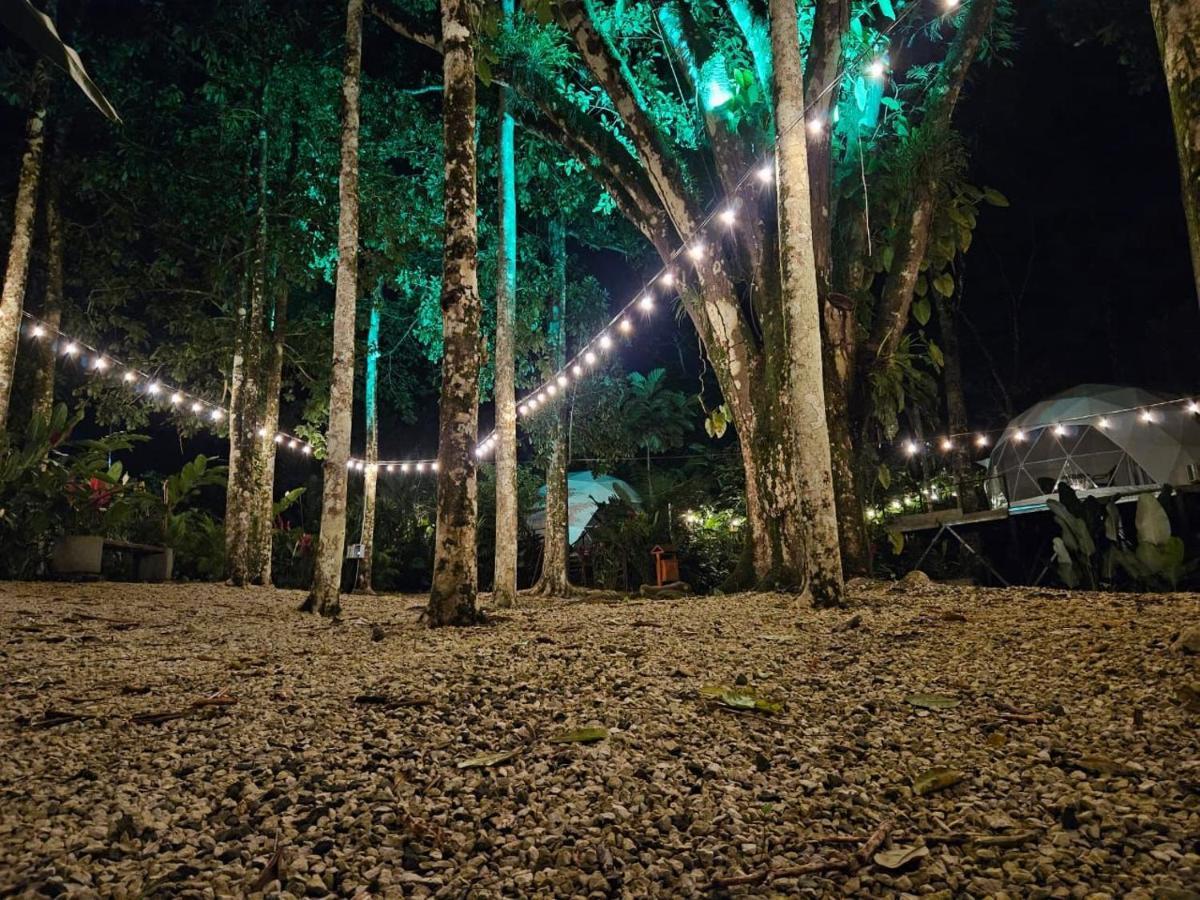 Palo Alto Glamping Hotel Quesada  Bagian luar foto