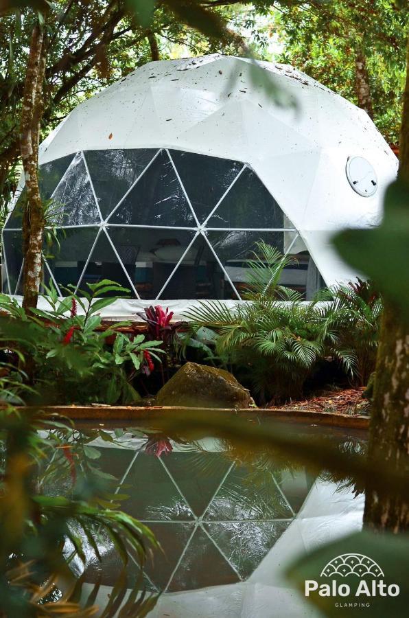 Palo Alto Glamping Hotel Quesada  Bagian luar foto