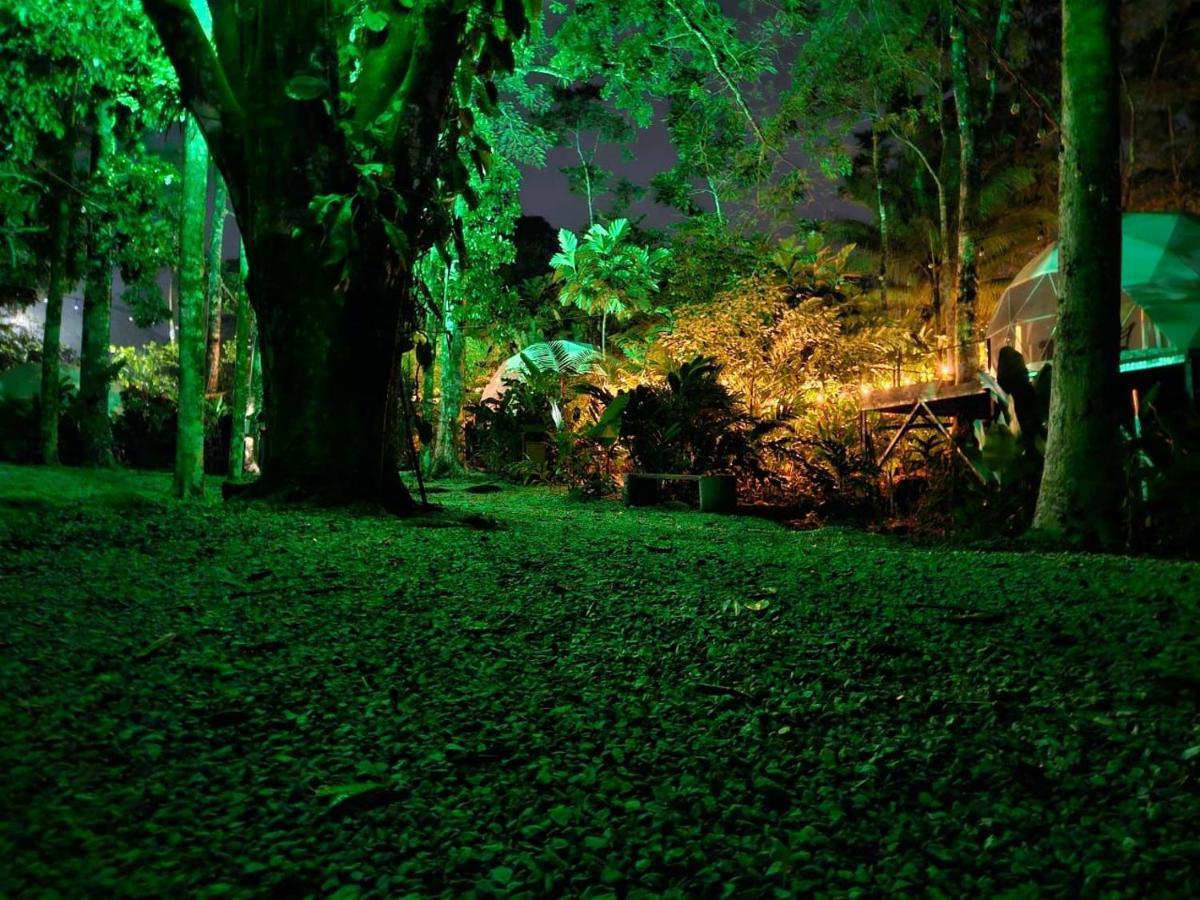 Palo Alto Glamping Hotel Quesada  Bagian luar foto