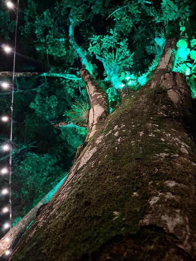 Palo Alto Glamping Hotel Quesada  Bagian luar foto