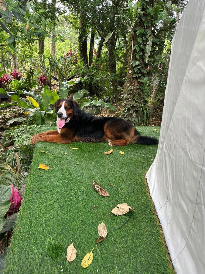 Palo Alto Glamping Hotel Quesada  Bagian luar foto