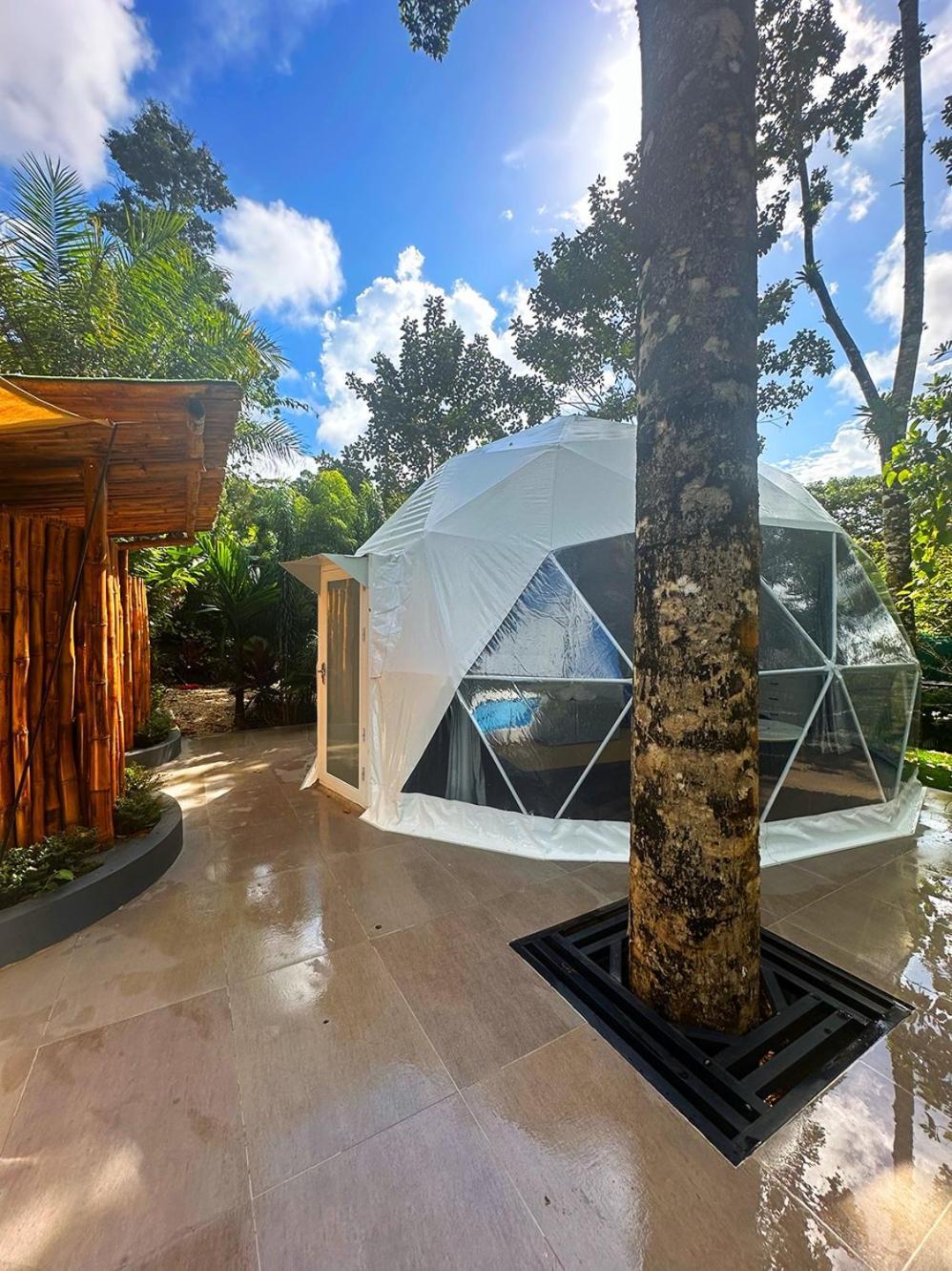 Palo Alto Glamping Hotel Quesada  Ruang foto